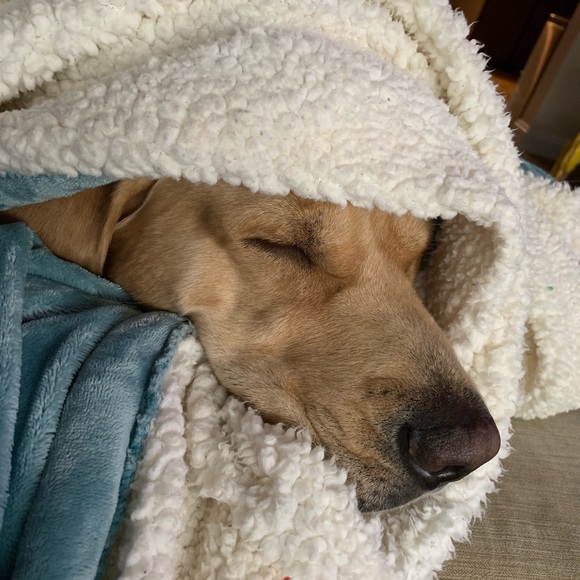 Meet your Posher, Jen! - Picture 1 of 1